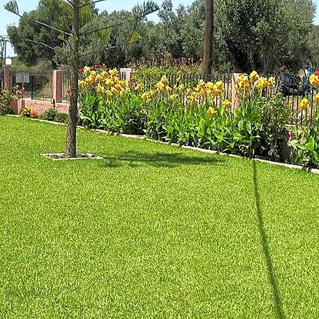 Paradise Valszamáta